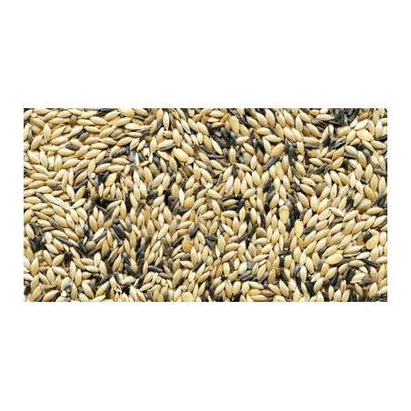 MANITOBA MISCELA CANARINI T3 20KG