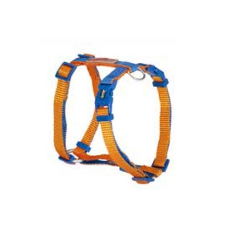 CAMON PETTORINA REGOLABILE ARANCIONE E BLU