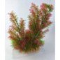 ZOLUX PLANTKIT IDRO 1 PIANTE ARTIFICIALI