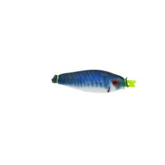 COLMIC MISAKI GREEN GLOW TATAKI PER CALAMARI 7CM