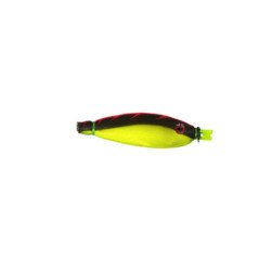 COLMIC MISAKI GREEN GLOW TATAKI PER CALAMARI 7CM