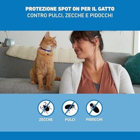 FRONTLINE SPOT ON PER GATTI 3 PIPETTE
