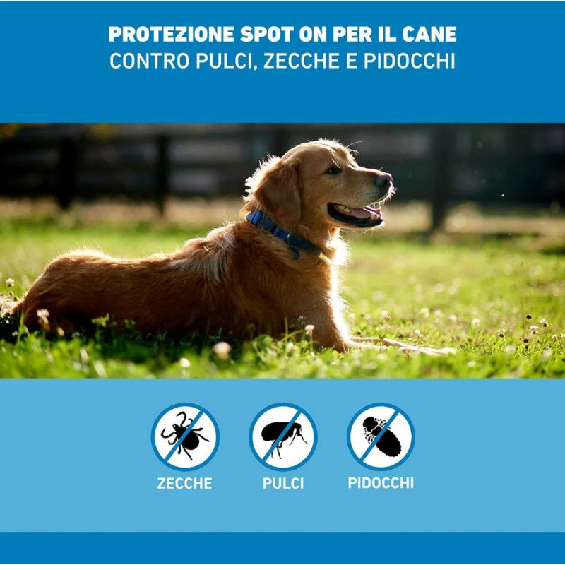FRONTLINE SPOT ON CANI 2-10KG 3 PIPETTE