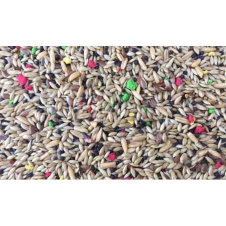 FLY RAGGIO DI SOLE CANARIA BISCUITS 25KG