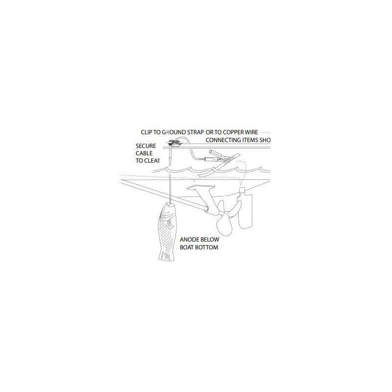 MARTYR ANODO A SOSPENZIONE IN ZINCO PESCE