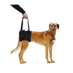 LEOPET PROFI DOG SUPPORTI PER GLI ARTI POSTERIORI