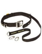 GUINZAGLI ADDESTRAMENTO