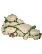 ACCESSORI TARTARUGHIERE