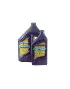 OLIO PER MOTORI 4T