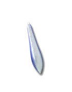 In questa categoria troveremo una vasta scelta di piombi con anellino sia inox che occhiello di piombo